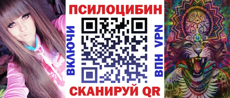 мега ссылка  Дно  сайты даркнета как зайти  продажа наркотиков  Галлюциногенные грибы мицелий 